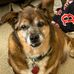 Tyler Grob - Facebook