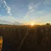 Tyler_Gruber - @tylergruber - TikTok