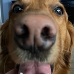 @tylerguay1092 - Instagram