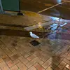 Tyler guest - @tyler.gguest - TikTok