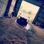 Tyler Guest - @2007_ford_mustang - Instagram