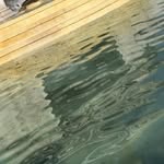 TYLER - @tyler.guest_7 - Instagram
