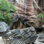 Tyler Gunn - @tylergunnn - Instagram