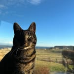 Tyler Gunn - @tylergunn908 - Instagram