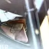 tylergunn68 - @tylergunn68 - TikTok