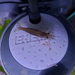 Tyler Hager - @t.hager0105 - Instagram