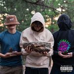 Tyler Hager - @thatoneginger321 - Instagram