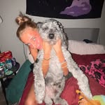 tyler hahn - @92prospect - Instagram