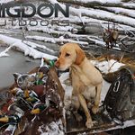 Tyler Hardee - @tylerhardee - Instagram