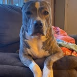Tyler Hatcher - @tylerhatcher44 - Instagram