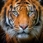 tyler heard - @tyler_heard_08 - Instagram