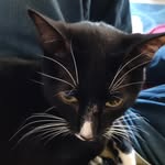 Tyler Helm - @dr_almondtoast - Instagram