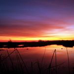 Tyler Herring - @bluefish248 - Instagram