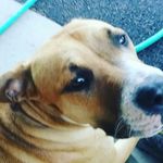 tyler herrington - @tyler_herrington._ - Instagram