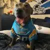 Tyler Herrmann - @tyler.herrmann7 - TikTok