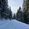 Tyler Herwig - @tyler.710prv - TikTok