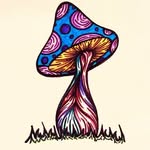 Tyler Hibbert - @tyler.hibbert - Instagram
