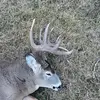 TylerHoag - @tylerhoag1 - TikTok
