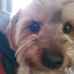 Tyler Hoffmann - Facebook
