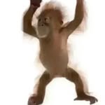 Tyler Hoffmann - @tyler111210 - Instagram