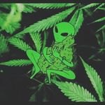 Tyler - @tyler__hoffmann - Instagram