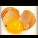 Tyler Holbrook - @egg_pun_master - Instagram