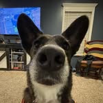 Tyler Holbrook - @tyler_holbrook_ - Instagram