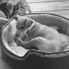 Tyler Holbrook - @tyler.holbrook1 - TikTok