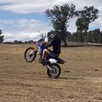 Tyler Hollis-Taylor - @tyler_hollis8 - Instagram
