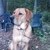 Tyler Hooker - Facebook