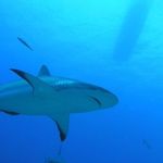 Tyler Hough - @tylerhough4019 - Instagram