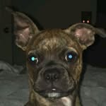 Tyler Huebner - @tyler.huebner - Instagram