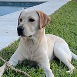 Tyler Huffman - @tyhuff21 - Instagram
