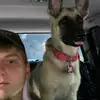 Tyler Huffman - @tylerhuffman2 - TikTok