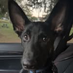 Tyler humphreys - @humpman_tj02 - Instagram