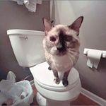 Tyler Huston - @bupister - Instagram