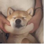 @tyler_huston_ - Instagram