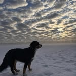 Tyler Interlichia - @tylertyrian528 - Instagram