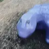 Tyler Interlichia - @sozalty526 - TikTok