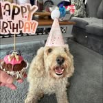 Tyler Ives - @tyler_ives2023 - Instagram