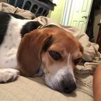 Tyler Ives - Facebook