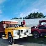 Tyler Janusz - @tylerjanusz - Instagram
