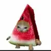 tylerjayne - @tylerjayne63 - TikTok