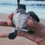 Tyler Jenner - @tyler_jenner_ - Instagram