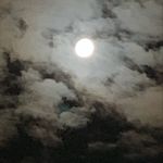 Tyler Kang - @tylerkang_ - Instagram