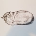 Tyler Kang - @kang.tyler - Instagram