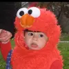 tyler kaplan - @tylerkaplan - TikTok