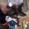 Aries and Tyler - @kay.and.tyler - TikTok