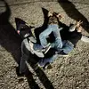 TYLERREIGH_RYLEEKAYLOREE - @tylerreigh_ryleekayloree - TikTok