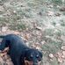 Tyler Keith - Facebook
